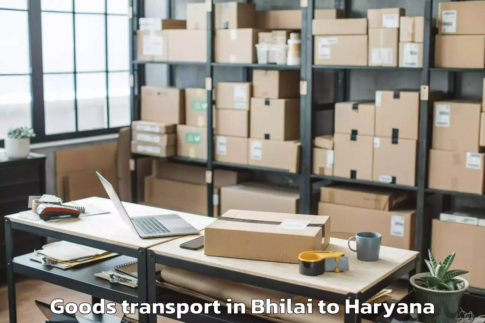 Book Bhilai to Hissar Airport Hss Goods Transport Online